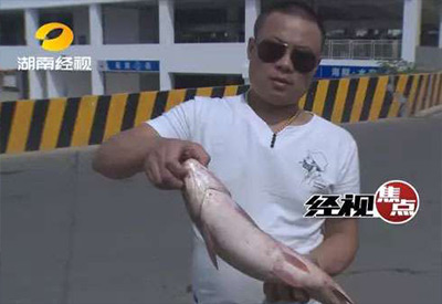 神秘怪魚流入長沙市場